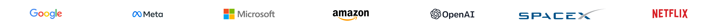 Trusted by professionals from Google, Meta, Microsoft, Amazon, OpenAI, SpaceX and Netflix